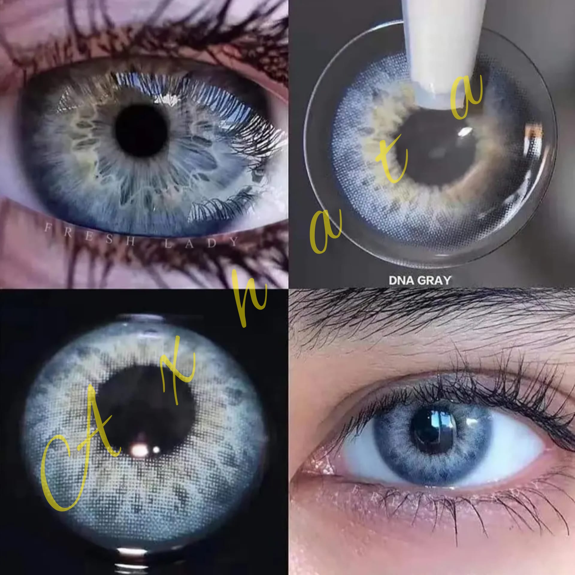 Retina Bluegray